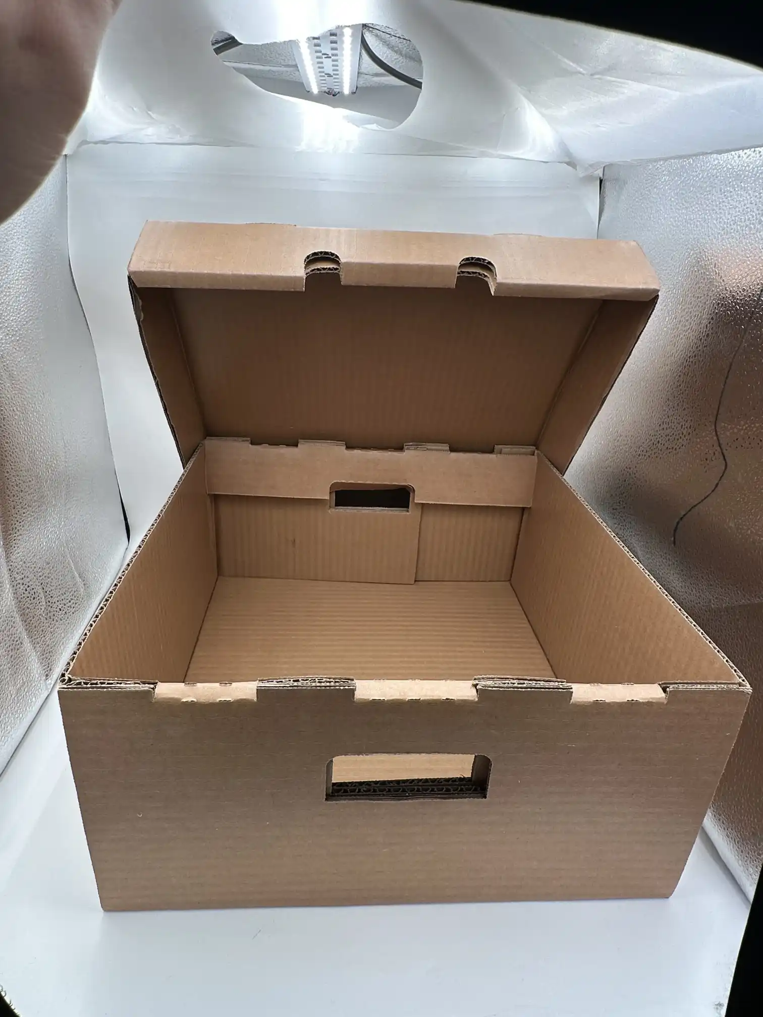 Велика воштана валовита кутија